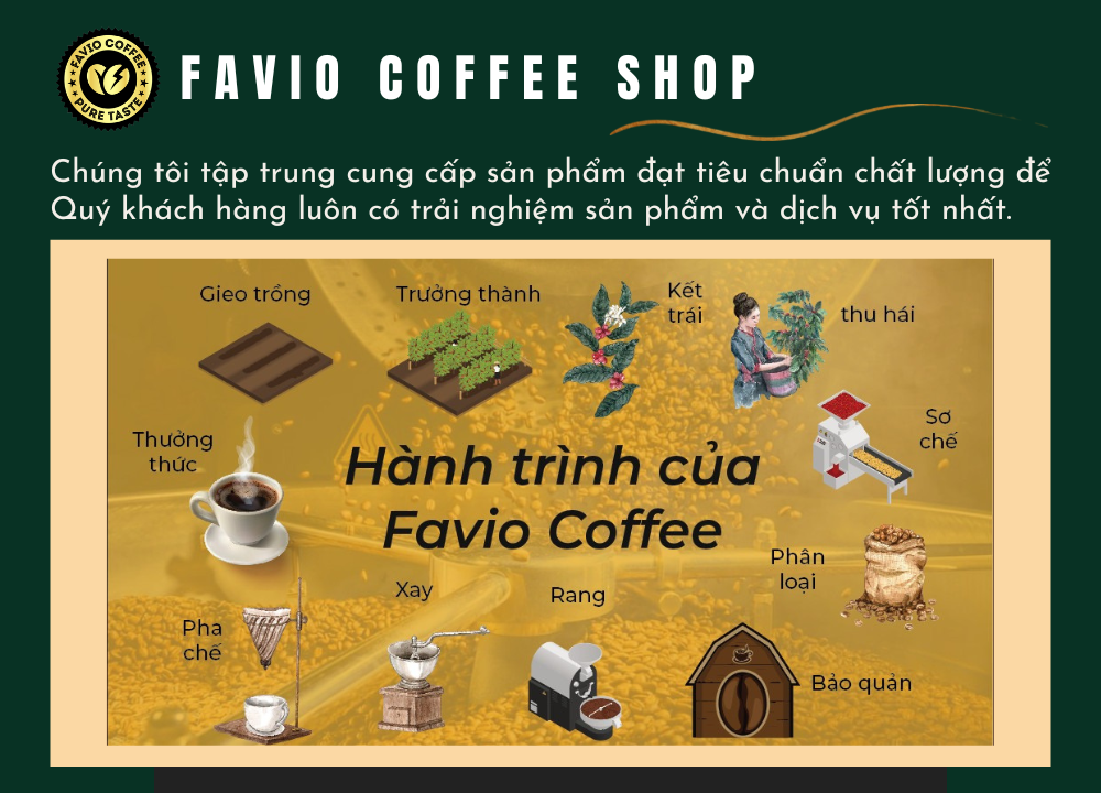 Trang Chủ - Favio Coffee